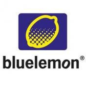 bluelemon Interactive GmbH