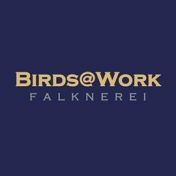 Birds@Work Falknerei 