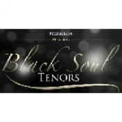 BLACK SOUL TENORS