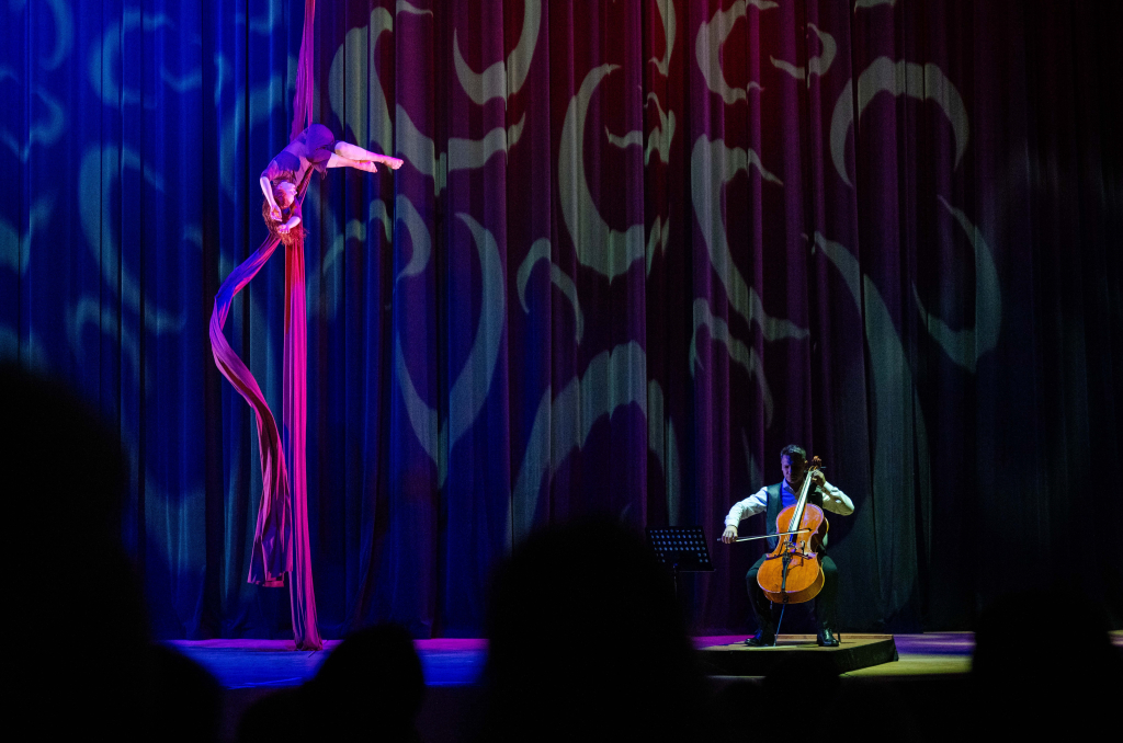 Vertikaltuch Anna Ehrenreich, Foto: Stadthalle Chemnitz/ Kristin Schmitt