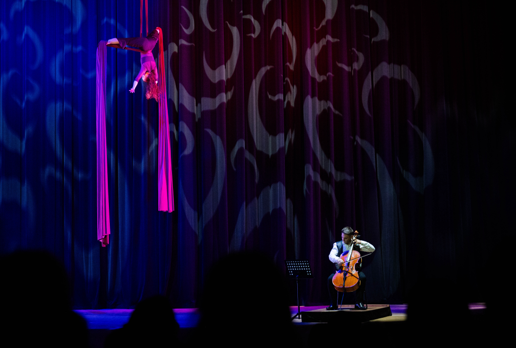Vertikaltuch Anna Ehrenreich, Foto: Stadthalle Chemnitz/ Kristin Schmitt