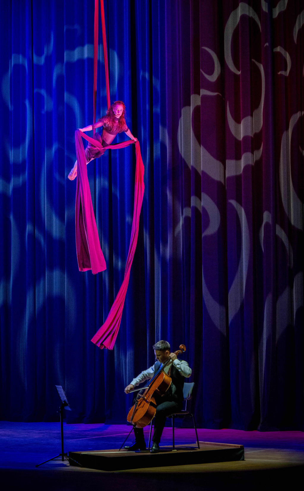 Vertikaltuch Anna Ehrenreich, Foto: Stadthalle Chemnitz/ Kristin Schmitt